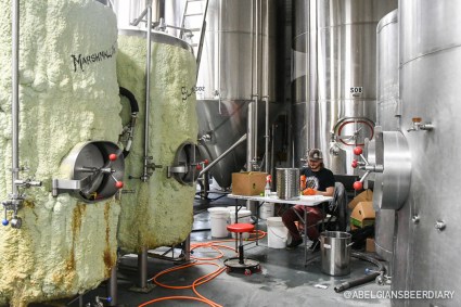 Hermitage Brewing Co.